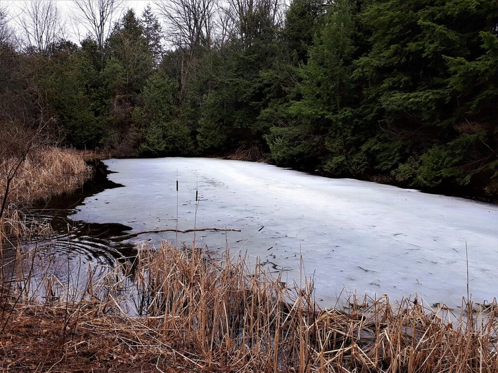 Oak Ridges, Richmond Hill
